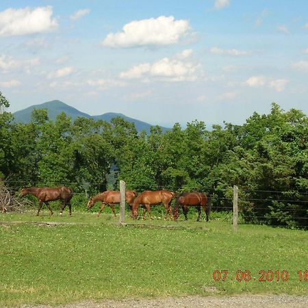 Bent Mountain Lodge Roanoke Exterior foto